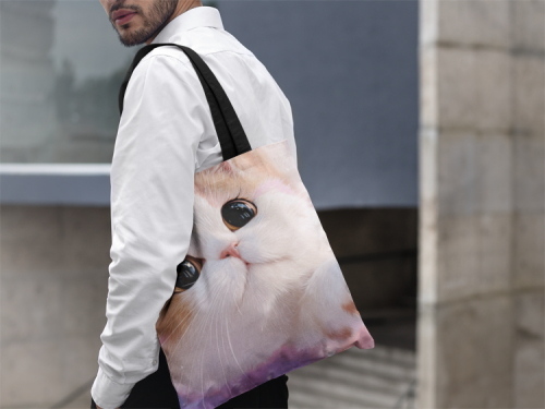 Torba RAI0226084.png