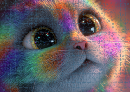 Puzzle RAI0226065.png