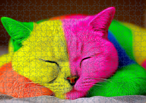 Puzzle RAI0226076.png