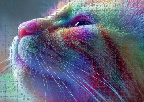 Puzzle RAI0226079.png