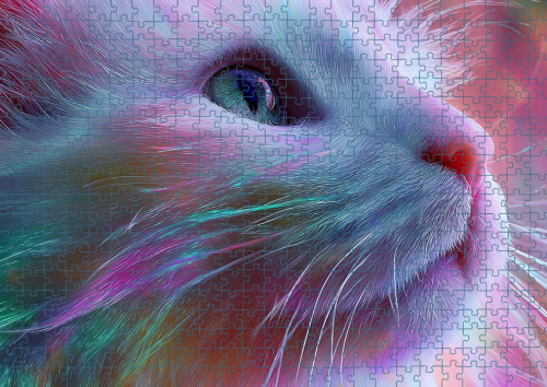 Puzzle RAI0226083.png