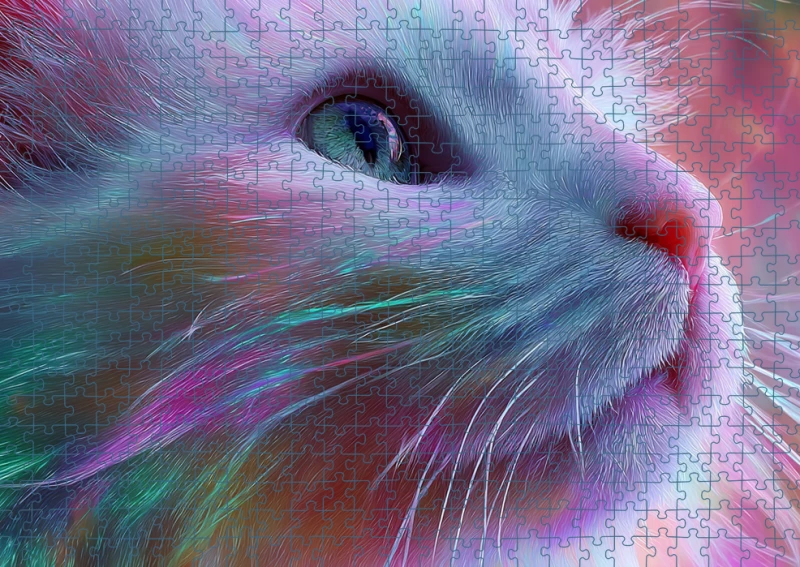 Puzzle RAI0226083.png