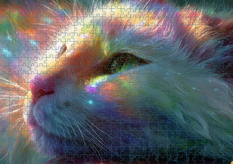 Puzzle RAI0226084.png