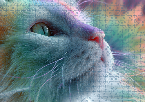 Puzzle RAI0226085.png