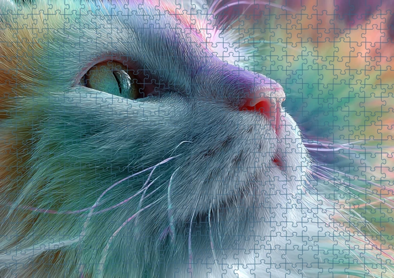 Puzzle RAI0226085.png