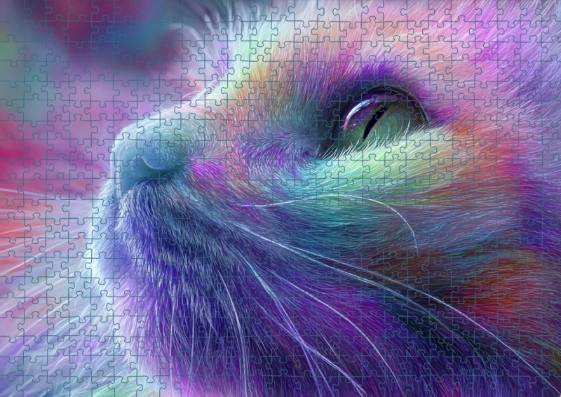 Puzzle RAI0226087.png