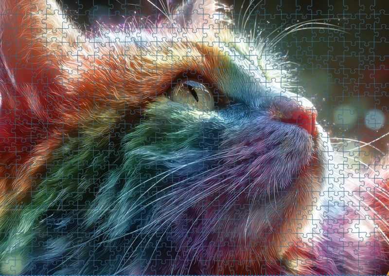 Puzzle RAI0226090.png