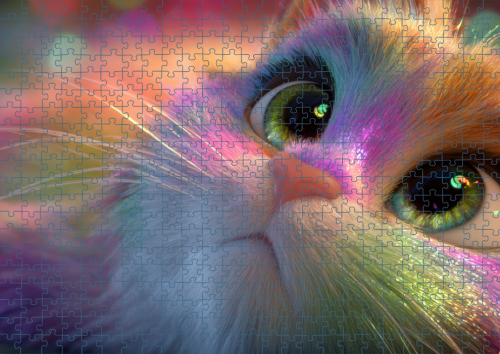 Puzzle RAI0226165.png