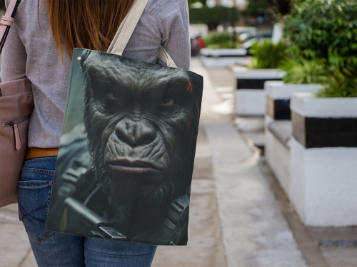 Torba RAR12250472.png
