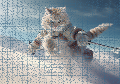 Puzzle RAR1125001.png