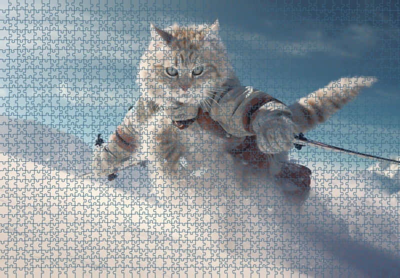 Puzzle RAR1125001.png