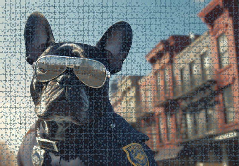 Puzzle RAR1125066.png