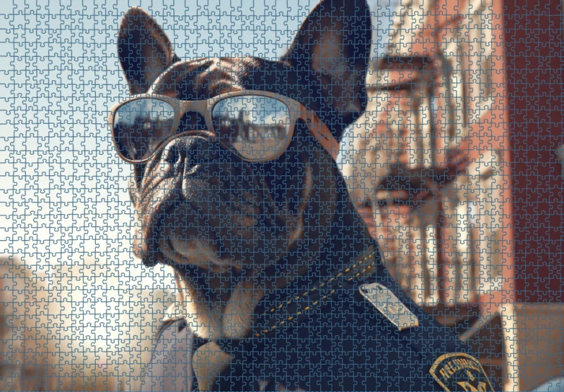 Puzzle RAR1125067.png