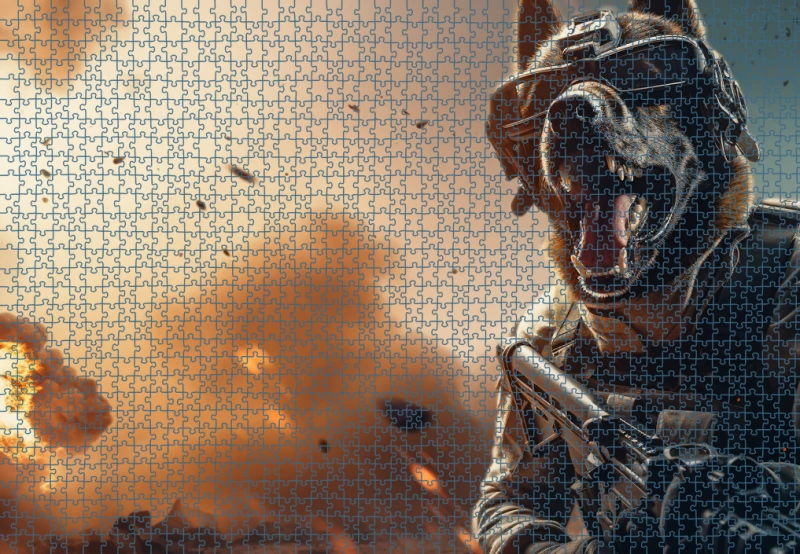 Puzzle RAR1125125.png