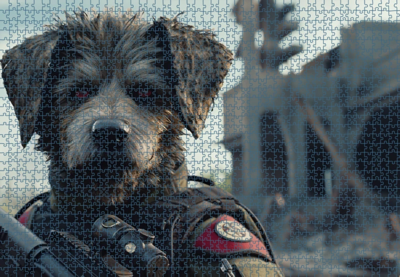 Puzzle RAR1125136.png