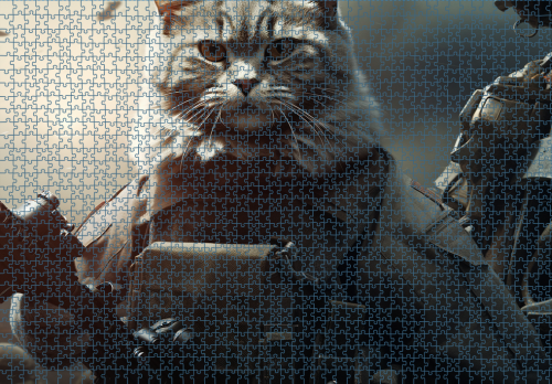 Puzzle RAR1125146.png