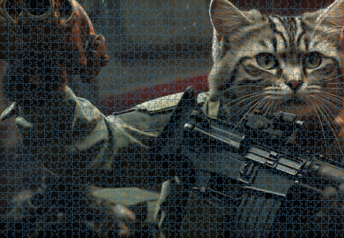 Puzzle RAR1125147.png