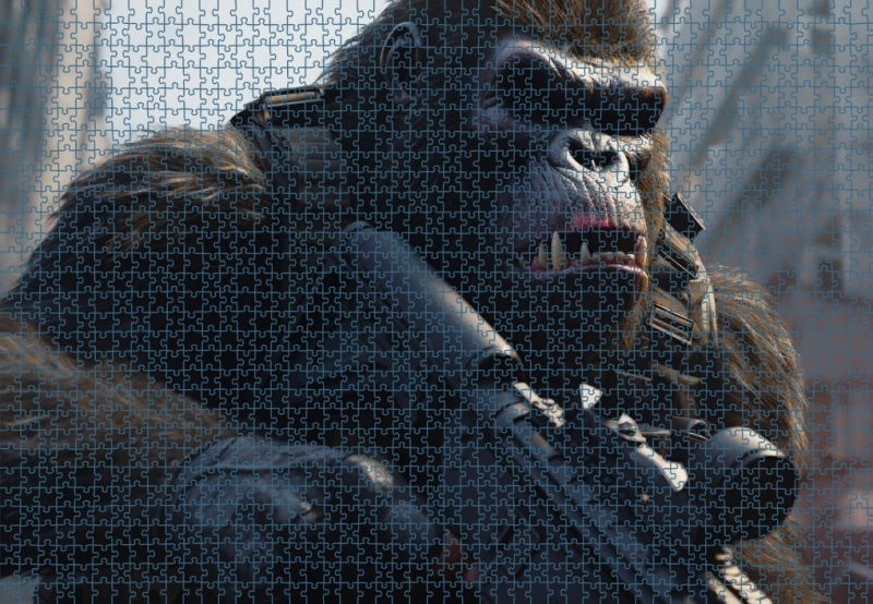 Puzzle RAR1125211.png