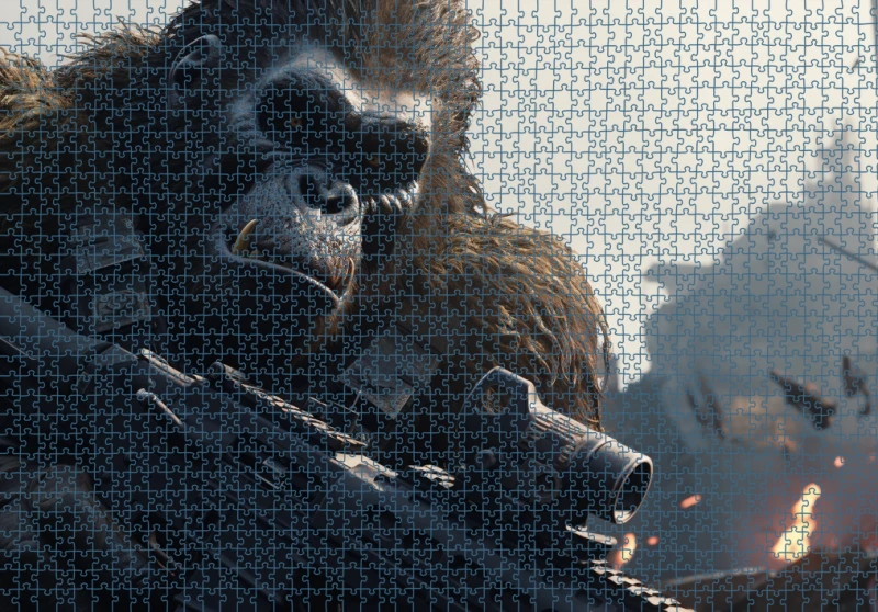 Puzzle RAR1125213.png