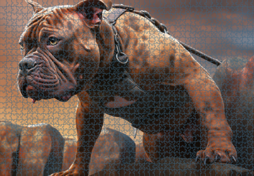 Puzzle RAR1125216.png