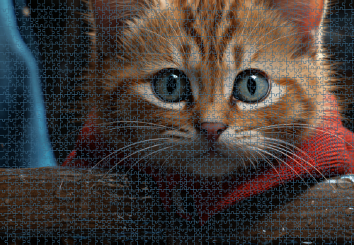 Puzzle RAR1125261.png