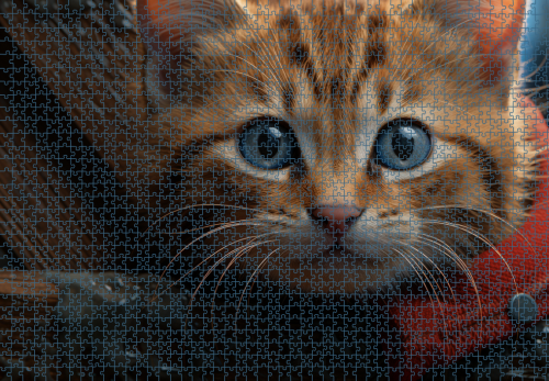 Puzzle RAR1125262.png