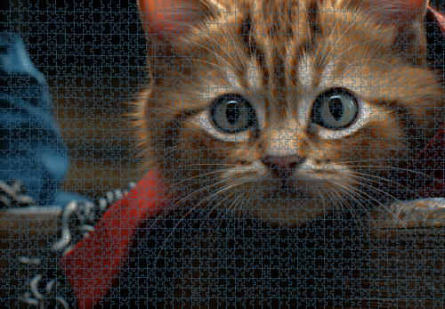 Puzzle RAR1125263.png