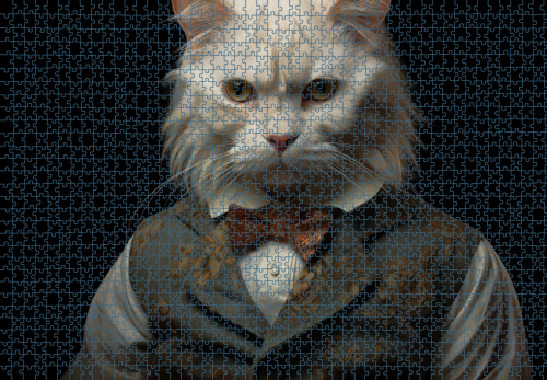 Puzzle RAR1125267.png