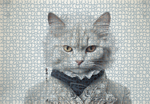 Puzzle RAR1125269.png