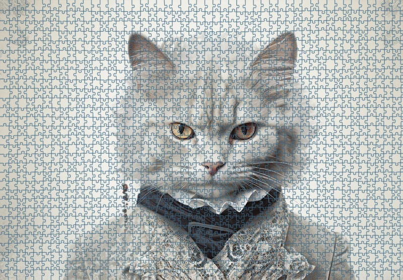 Puzzle RAR1125269.png