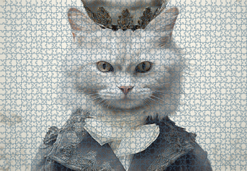 Puzzle RAR1125270.png