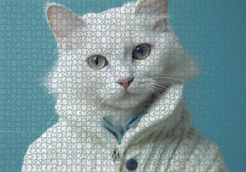 Puzzle RAR1125271.png