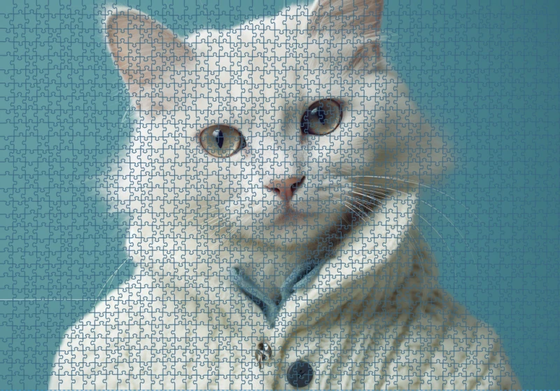 Puzzle RAR1125271.png