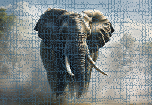 Puzzle RAR1125274.png
