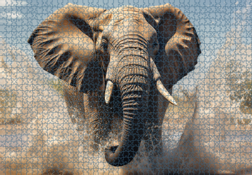 Puzzle RAR1125275.png