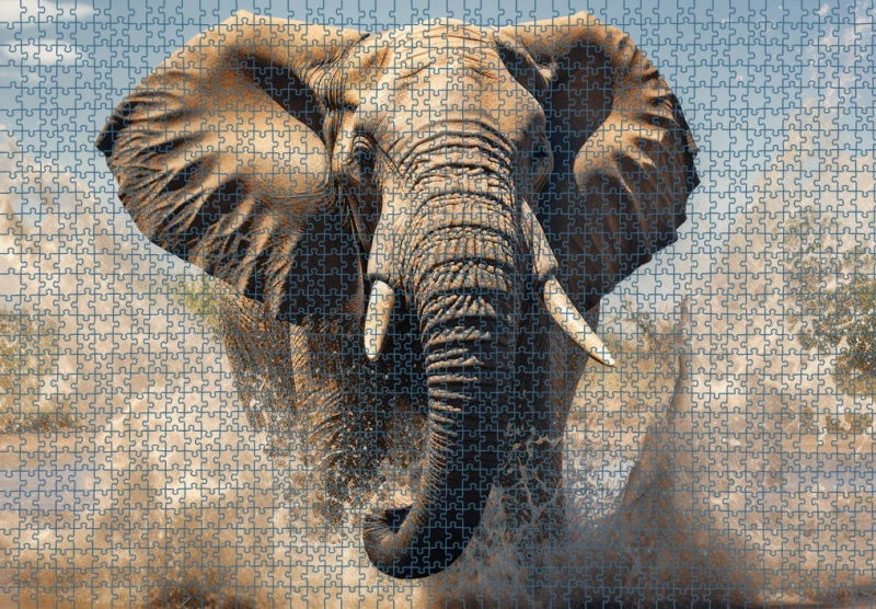 Puzzle RAR1125275.png