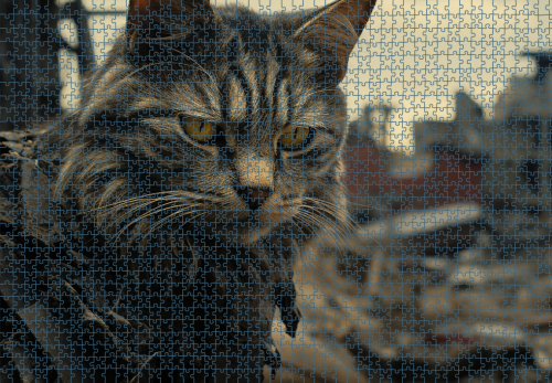 Puzzle RAR1225012.png