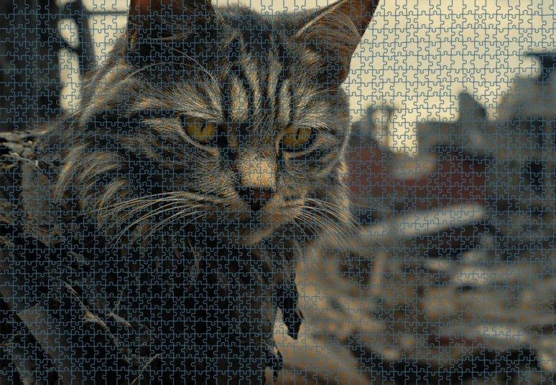 Puzzle RAR1225012.png