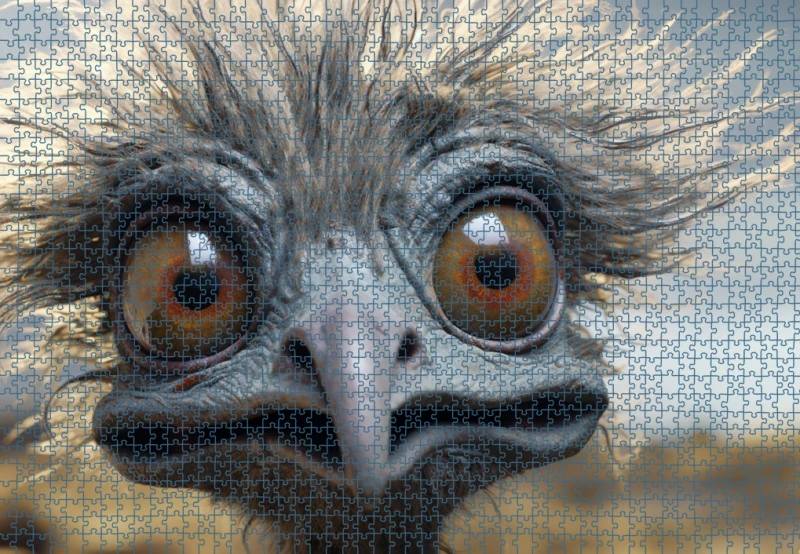 Puzzle RAR1225058.png