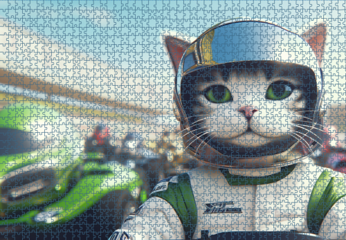 Puzzle RAR1225109.png