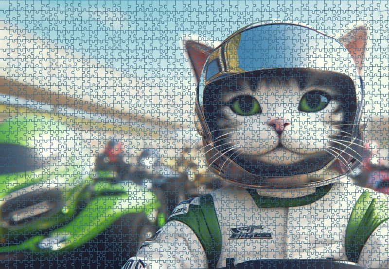 Puzzle RAR1225109.png