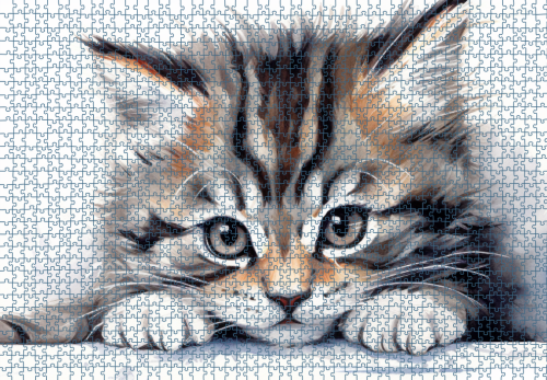 Puzzle RAR1225238.png
