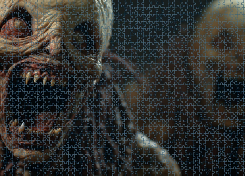 Puzzle RAR0126008.png