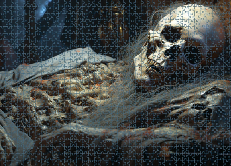 Puzzle RAR0126087.png