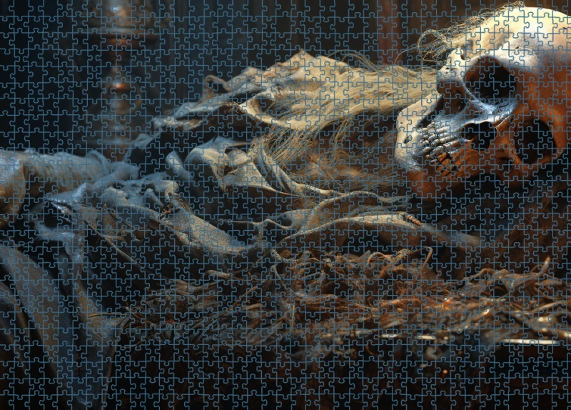 Puzzle RAR0126092.png
