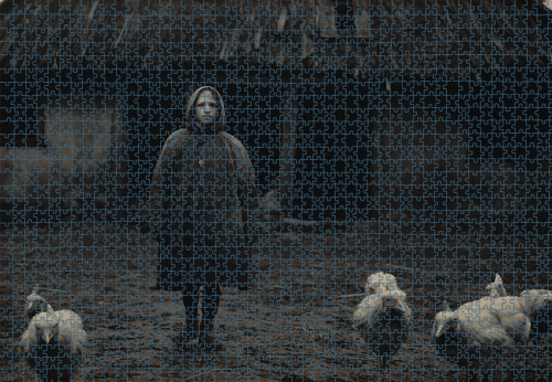 Puzzle RAR0126231.png