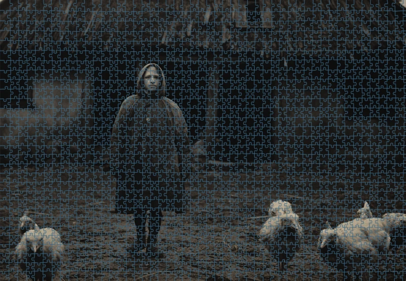 Puzzle RAR0126231.png