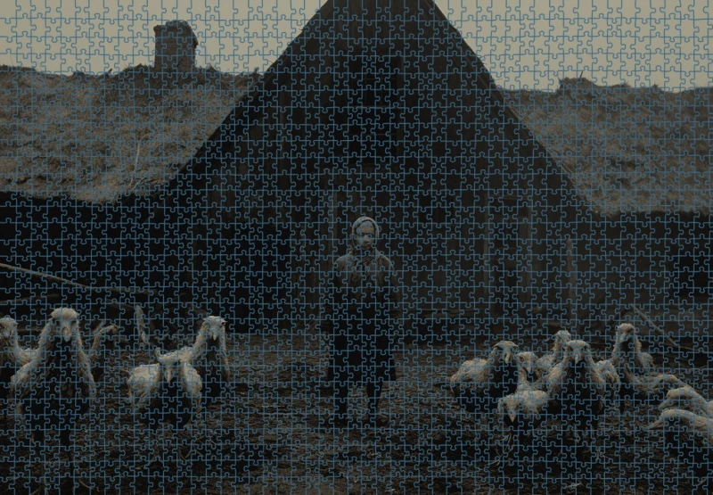 Puzzle RAR0126237.png