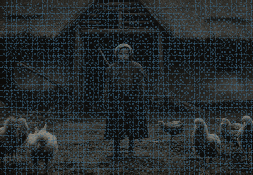 Puzzle RAR0126244.png