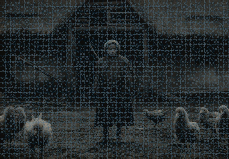 Puzzle RAR0126244.png